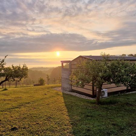 Villa Vinea Panonika Wine & Mind Retreat Radenci Exterior foto