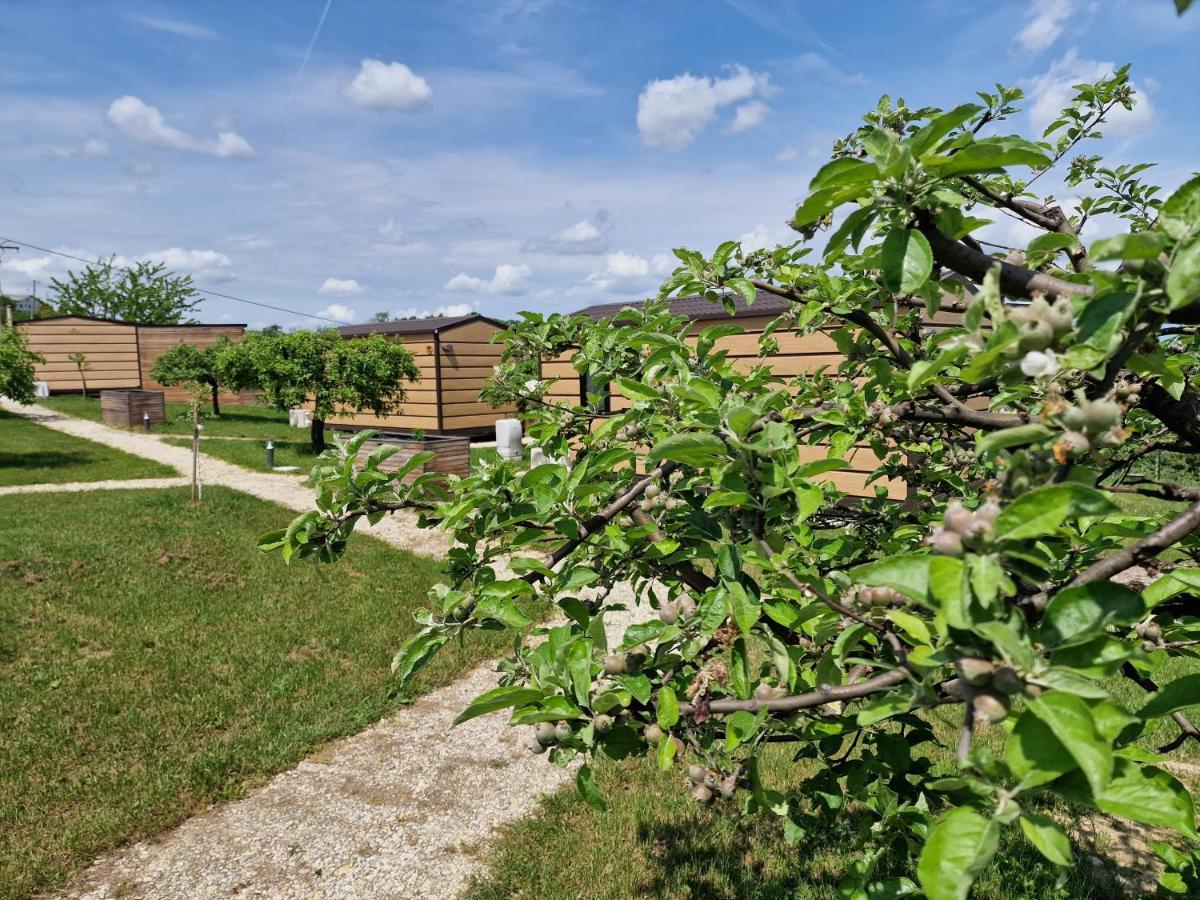Villa Vinea Panonika Wine & Mind Retreat Radenci Exterior foto