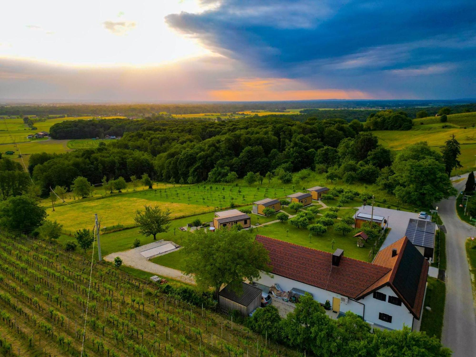 Villa Vinea Panonika Wine & Mind Retreat Radenci Exterior foto